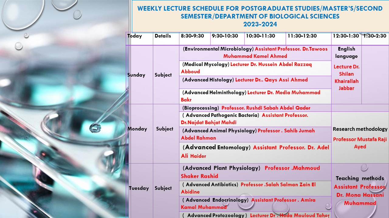schedule